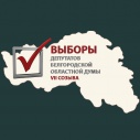 Больше половины белгородцев проголосовали на выборах депутатов облдумы
