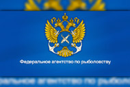 Депутаты заслушали отчёт начальника отдела территориального управления Росрыболовства о работе в 2018 году