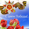Руководители региона поздравляют белгородцев с Днём Победы
