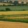 В Белгородской области планируется ввести категорию особо ценных сельскохозяйственных угодий