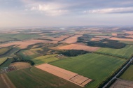 В Белгородской области провели кадастровую оценку свыше 150 тысяч земельных участков сельхозназначения
