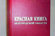 В областной Думе рассмотрели проект регионального закона о Красной книге
