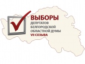На 50 мест в Белгородской облдуме VII созыва претендуют 435 кандидатов