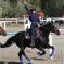 В Белгородской области прошли соревнования по конному спорту «Кубок Губернатора Белгородской области»