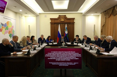 В преддверии ноябрьского заседания Белгородской областной Думы завершили работу комитеты облдумы 