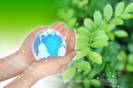 Сегодня –  Всемирный день окружающей среды (День эколога)