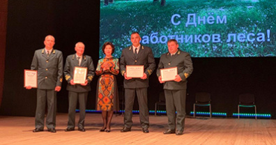 Вице-спикер облдумы Елена Романенко вручила награды отличившимся сотрудникам лесного хозяйства области